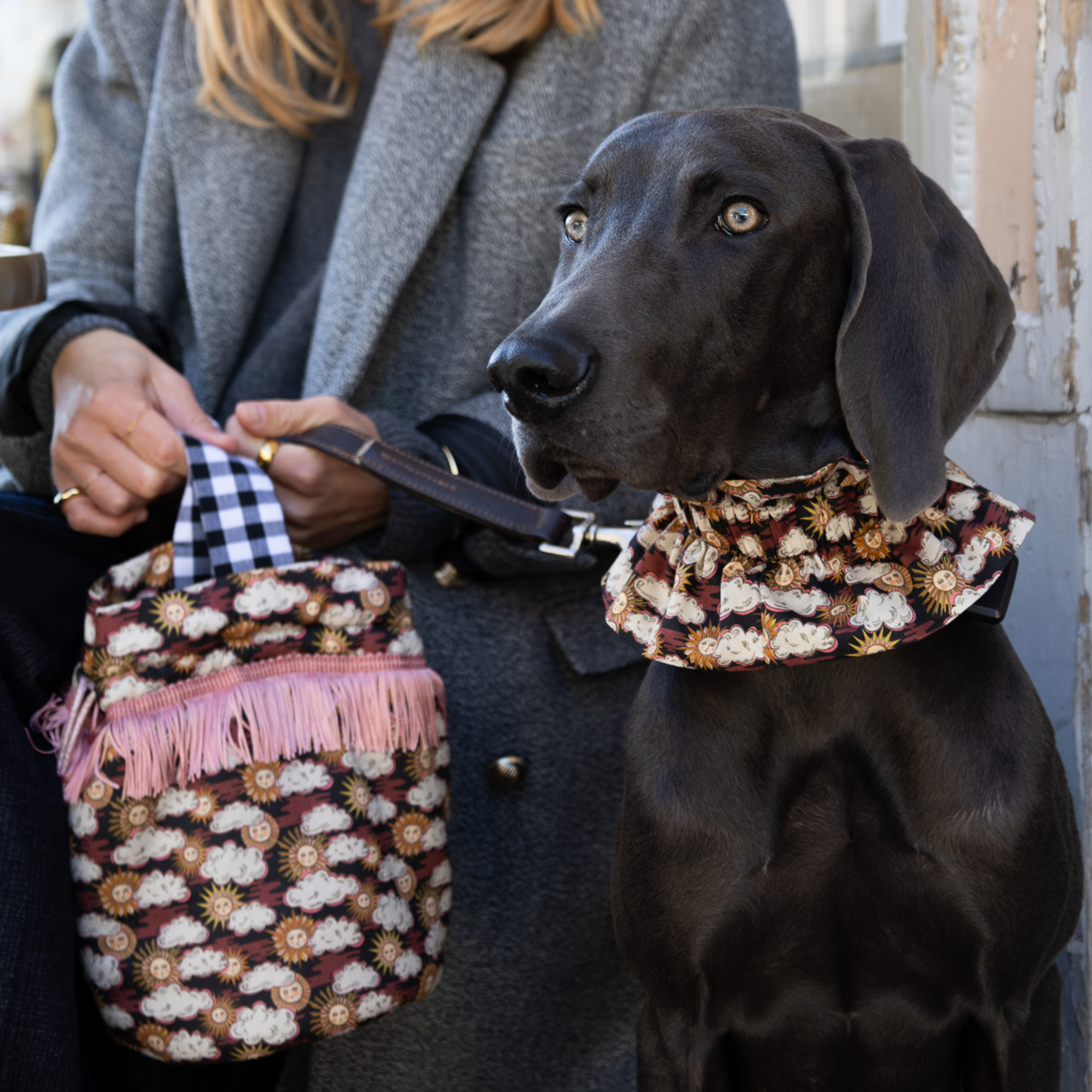 sac liberty Follow the sun vichy